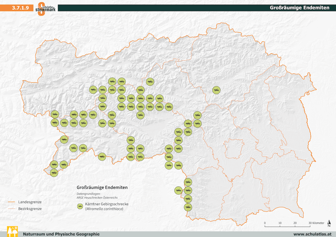 Großräumige Endemiten