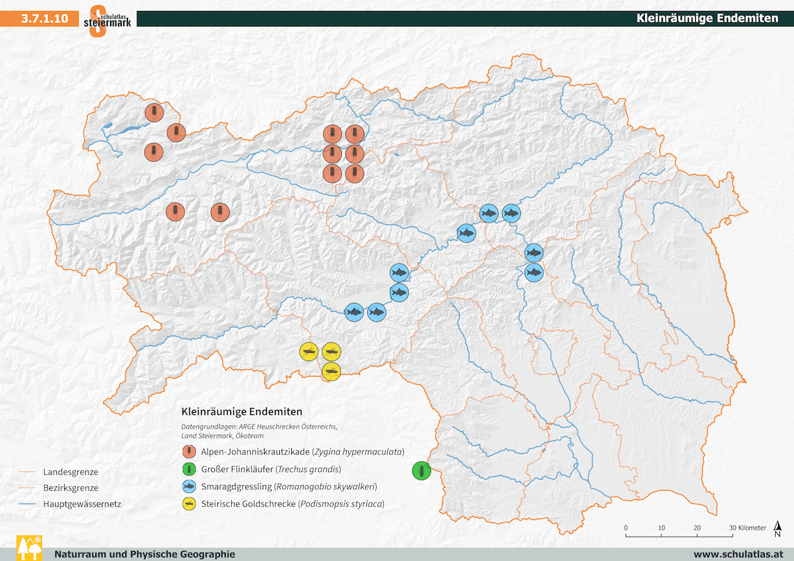 Kleinräumige Endemiten