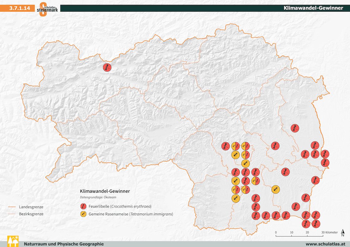 Klimawandel Gewinner