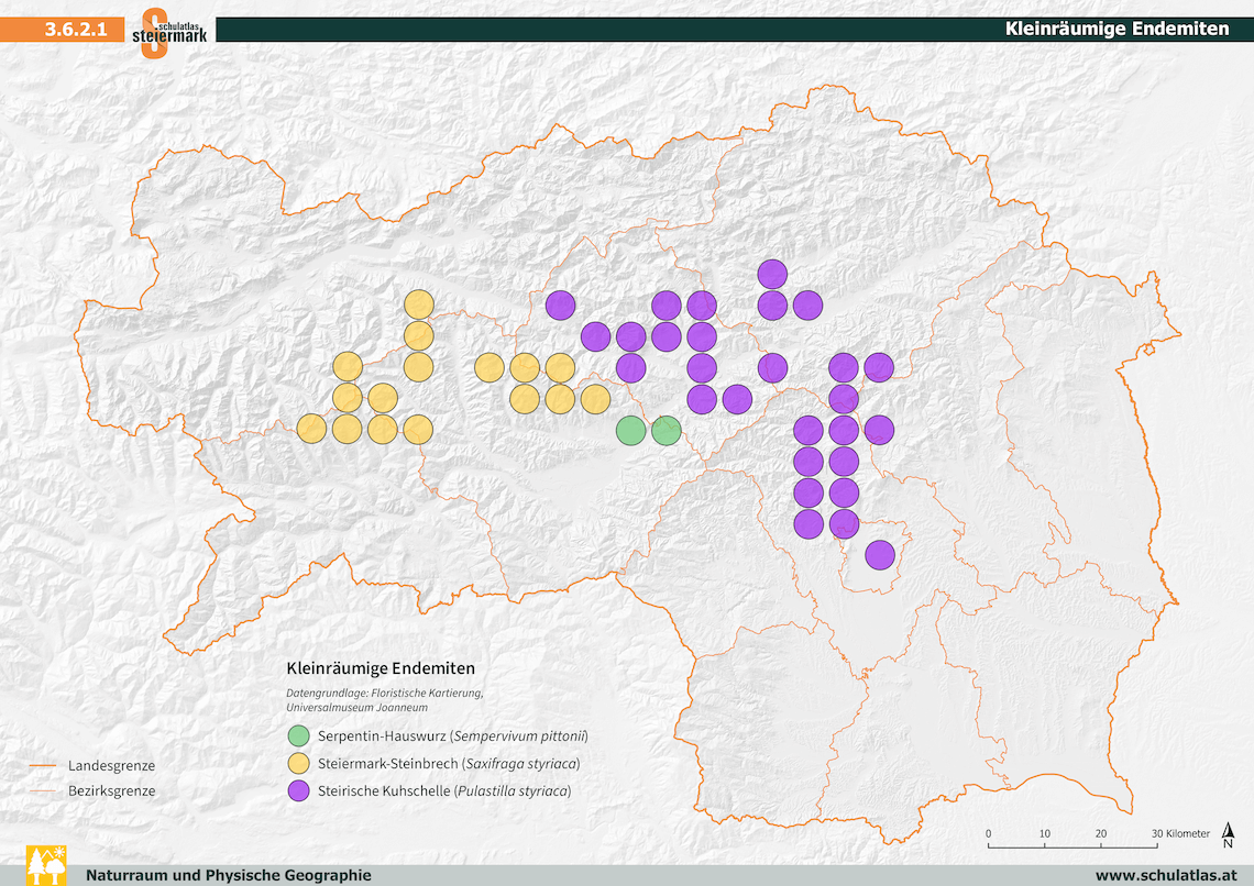 Kleinräumige Endemiten