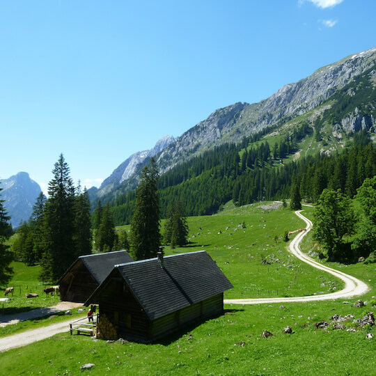 3.7 Tierwelt